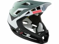 FOX HEAD Proframe MIPS Park Capsule Fullface-Helm -Casual Wear Grand online Shop 458273
